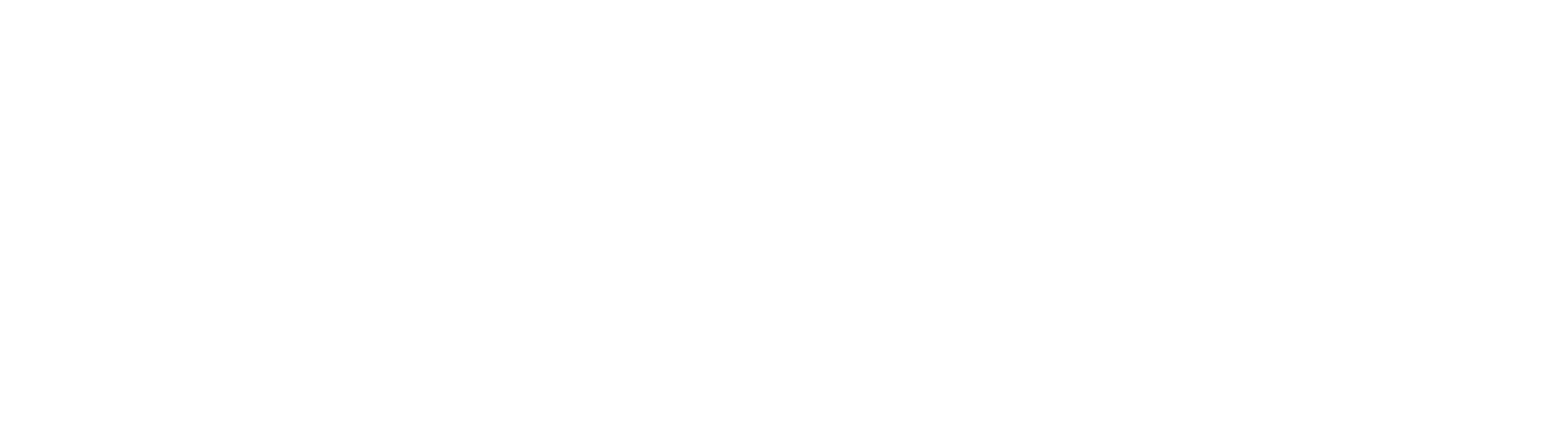 John Casablancas International" is written in elegant white text on a green background. The font is clean, with "INTERNATIONAL" in smaller, uppercase letters, reflecting the sophistication of the model industry and talent showcased on the runway.